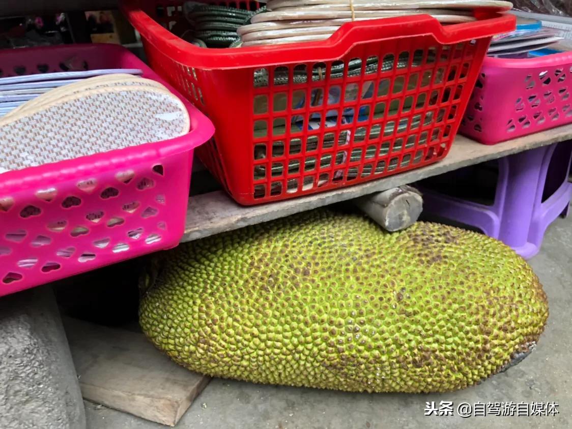 海南儋州白马井镇有什么好玩的,中国海南省儋州市白马井镇