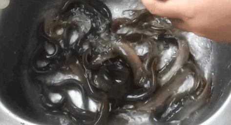 日本称人类可用肛门呼吸，还能治疗新冠，网友：那想放屁怎么办？