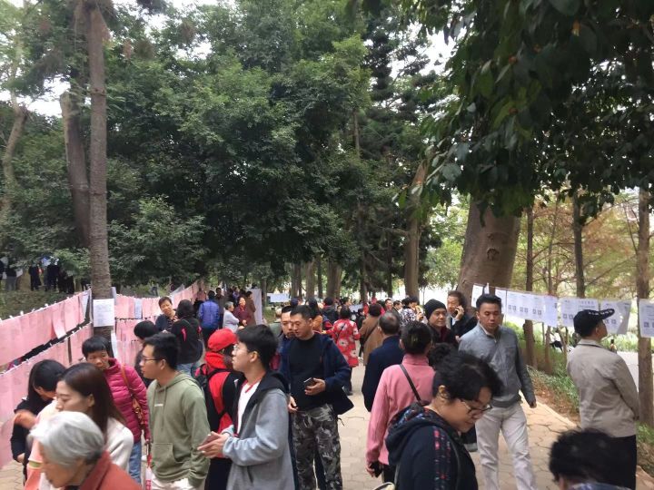 在相亲角逛了一圈,我们差点脱不开身