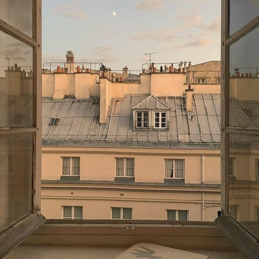 白羊座的爱很炙热而不是冷冰冰,白羊座的爱从来都是不留后路的