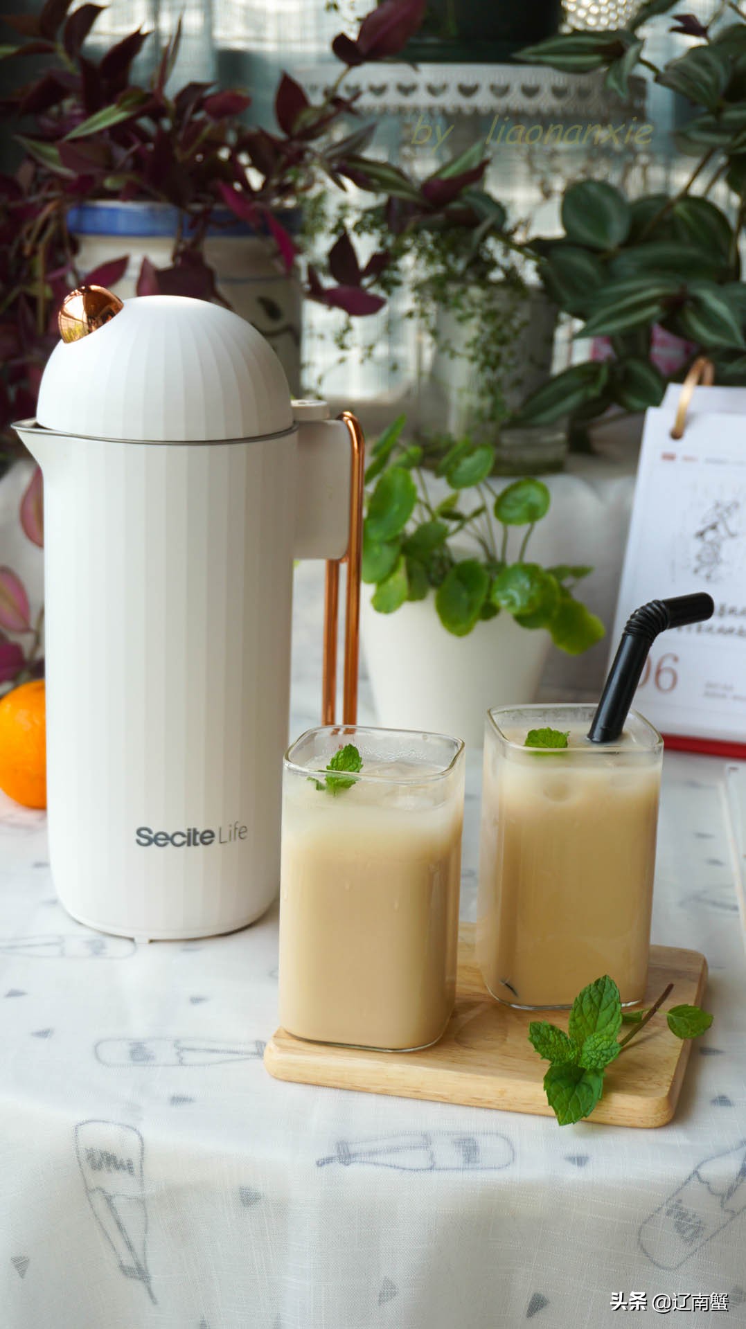 自己在家做奶茶不加糖热量高吗,蒙古奶茶怎么做才香醇浓厚
