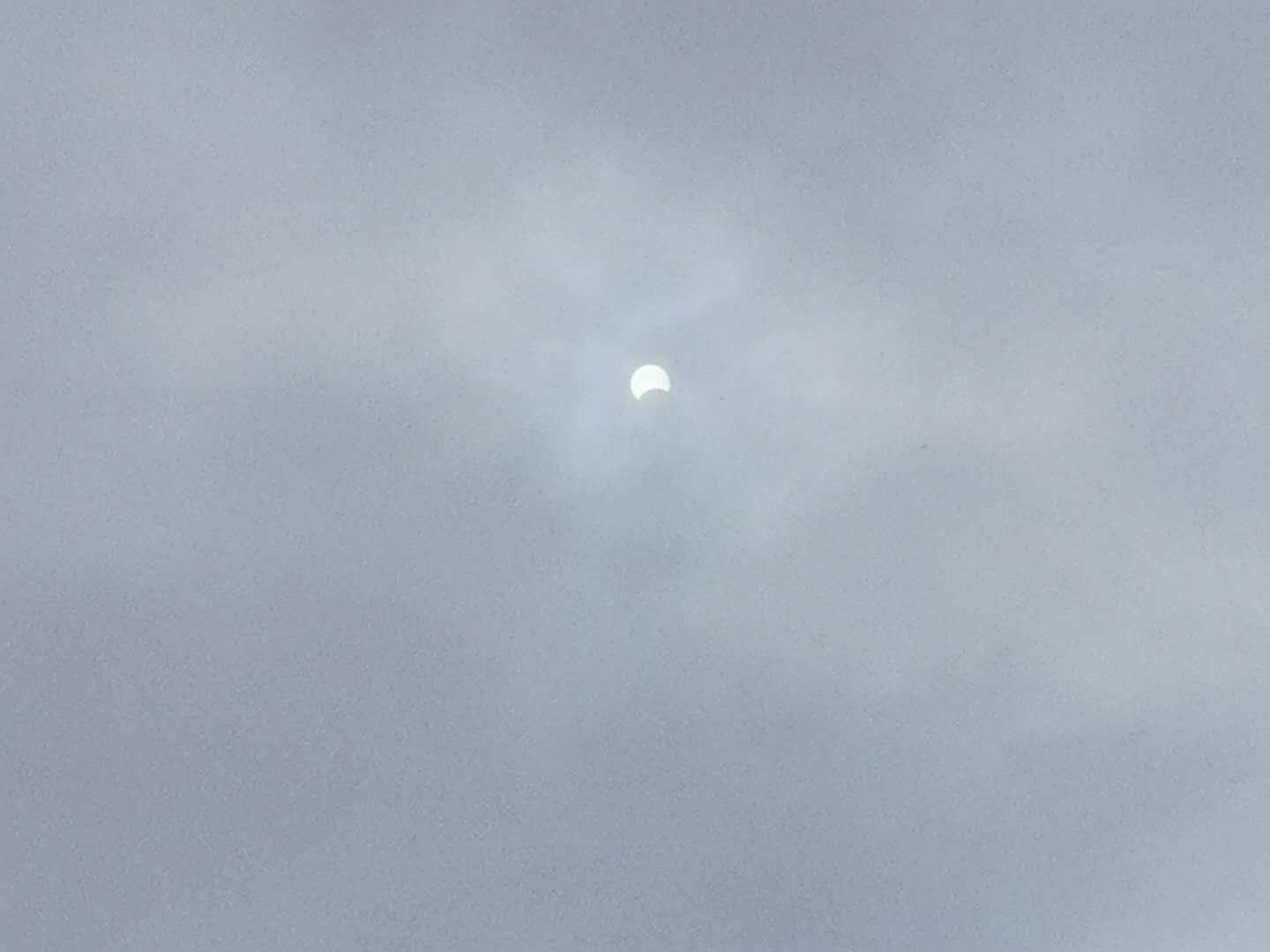 《中国诗歌周刊》2020年父亲节专刊(二)