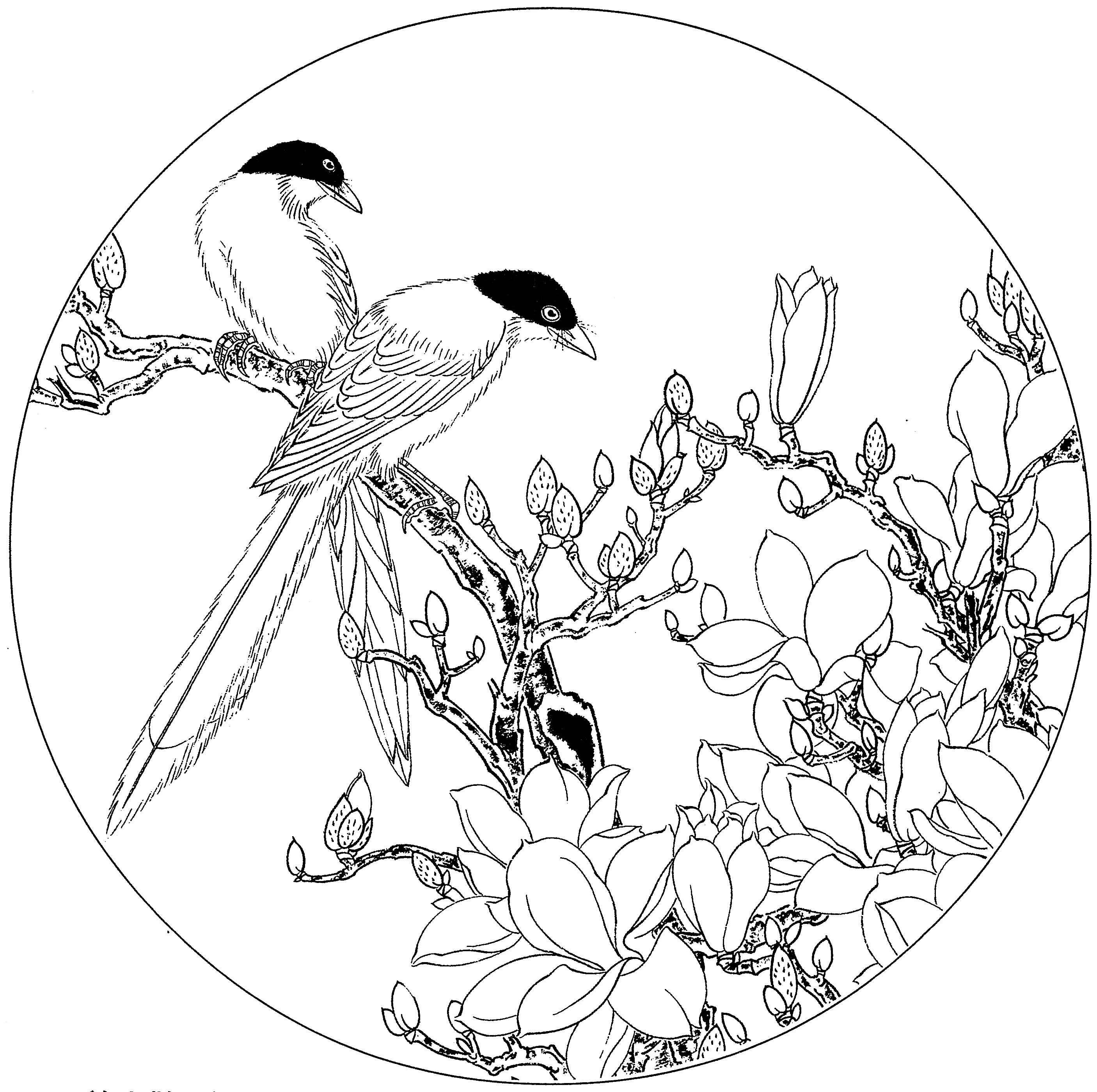 花鸟工笔四条屏白描高清大图,牡丹六尺横幅白描工笔花鸟底稿