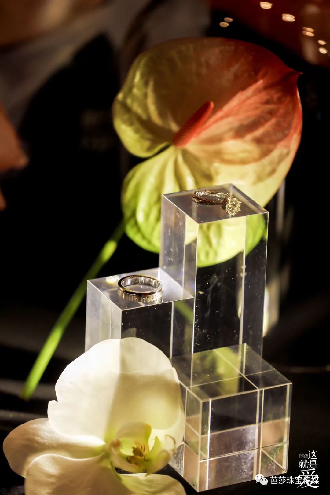 几款值得入手的婚戒,值得推荐的婚戒