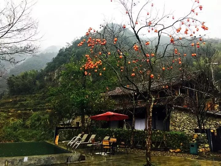 千岛湖富春江风景区,印象富春江漂流一日游