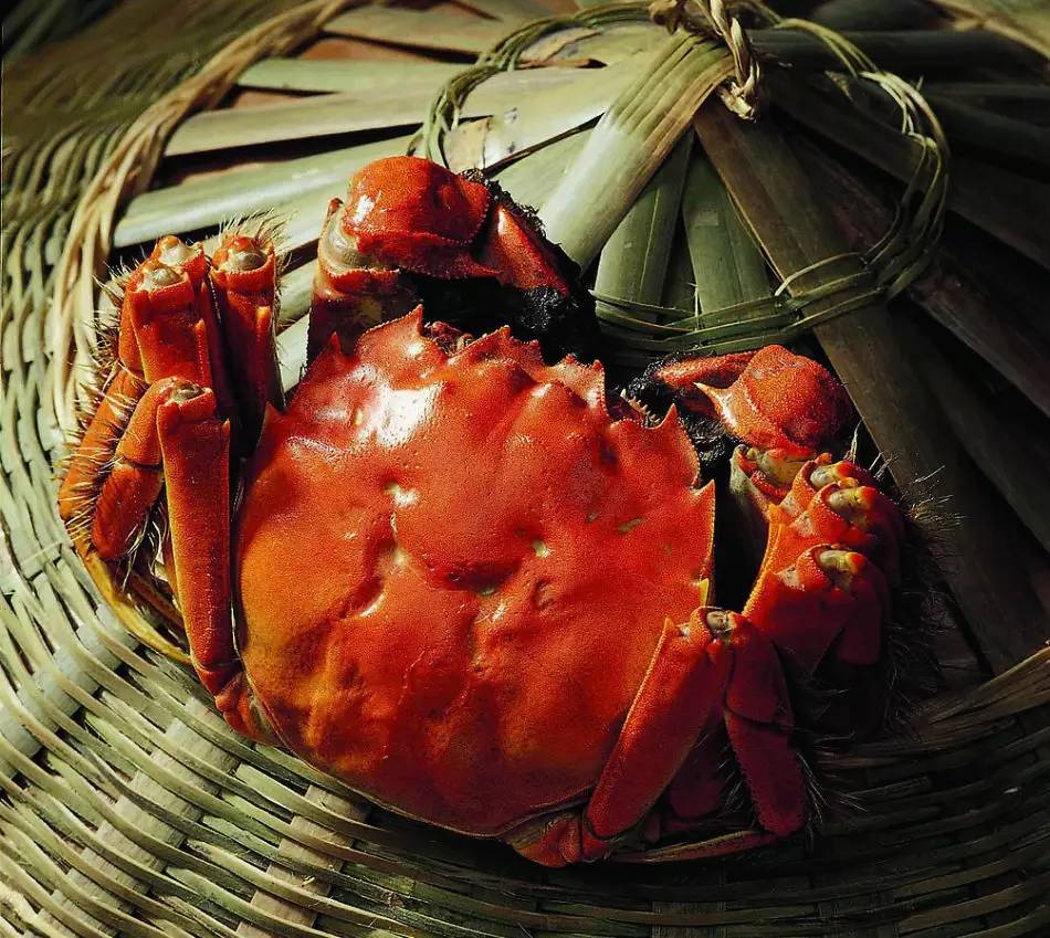 阳澄湖大闸蟹几月份最好吃,阳澄湖大闸蟹蒸几分钟最好吃