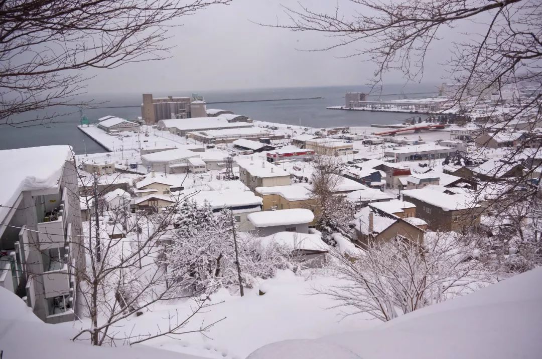2020年1月最值得去的旅行地,这才是一月份最值得去的旅行地