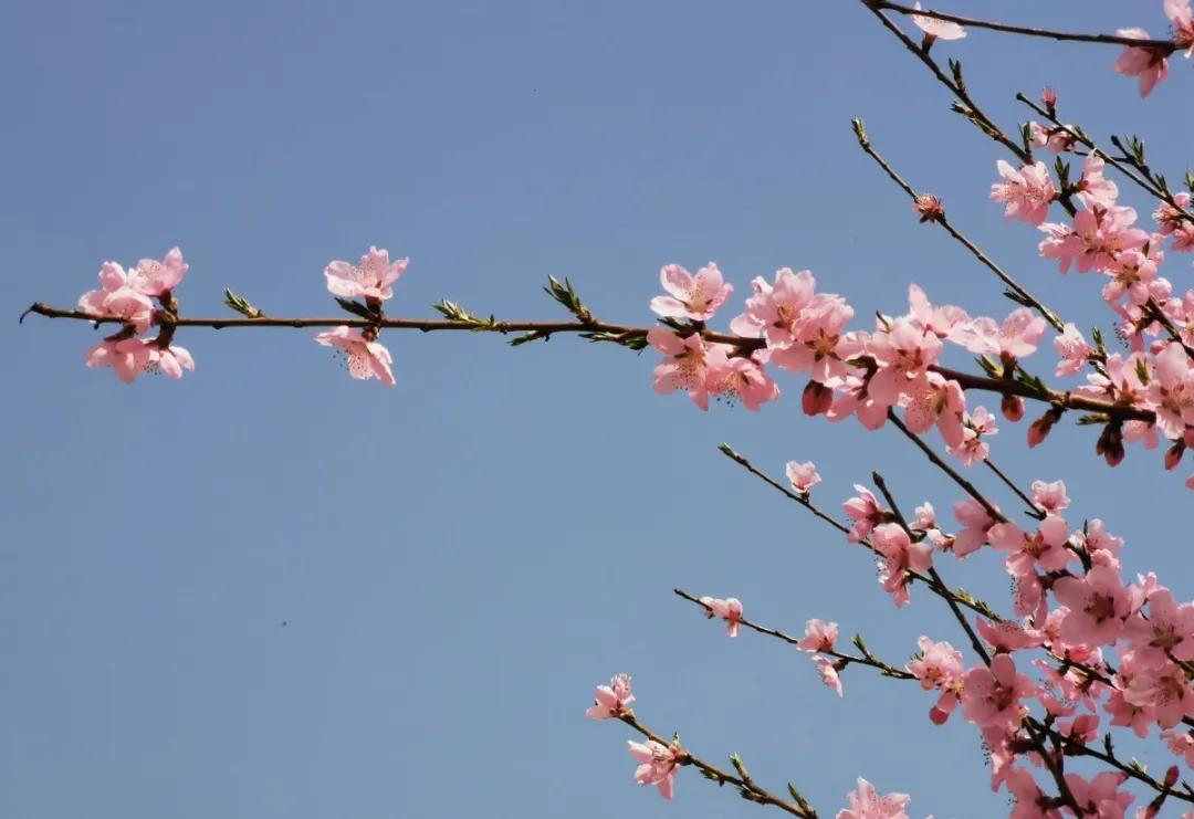 济南踏青旅游攻略,济南哪里的温泉适合带孩子去的