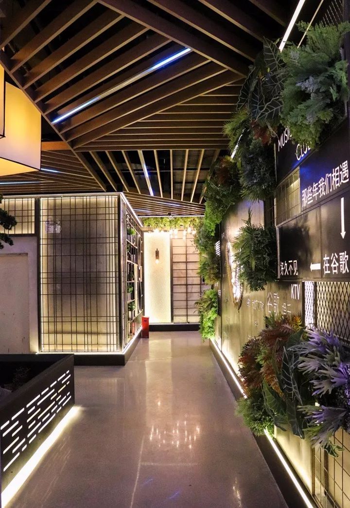 清远地标级KTV，坐拥网红时光隧道，还把热带雨林搬了过来