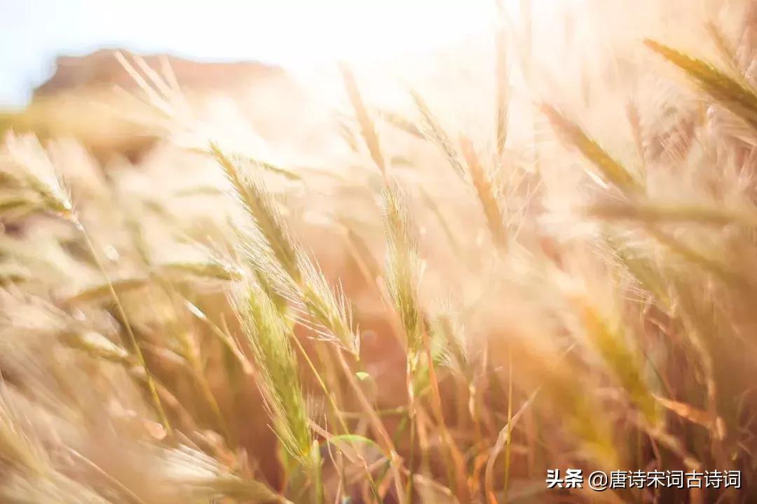 人生感悟的古诗励志句子,励志人生短句古诗