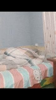 女人各种状态的样子搞笑图,女人每天必须做的搞笑事