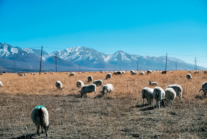 去一趟大西北的旅行,大西北旅行青藏高原