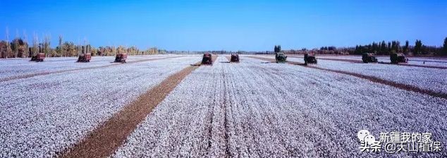 新疆南疆第一区阿拉尔地区,阿拉尔南疆重镇