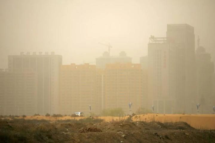 台风天遛狗太不友好了,台风天出门遛狗