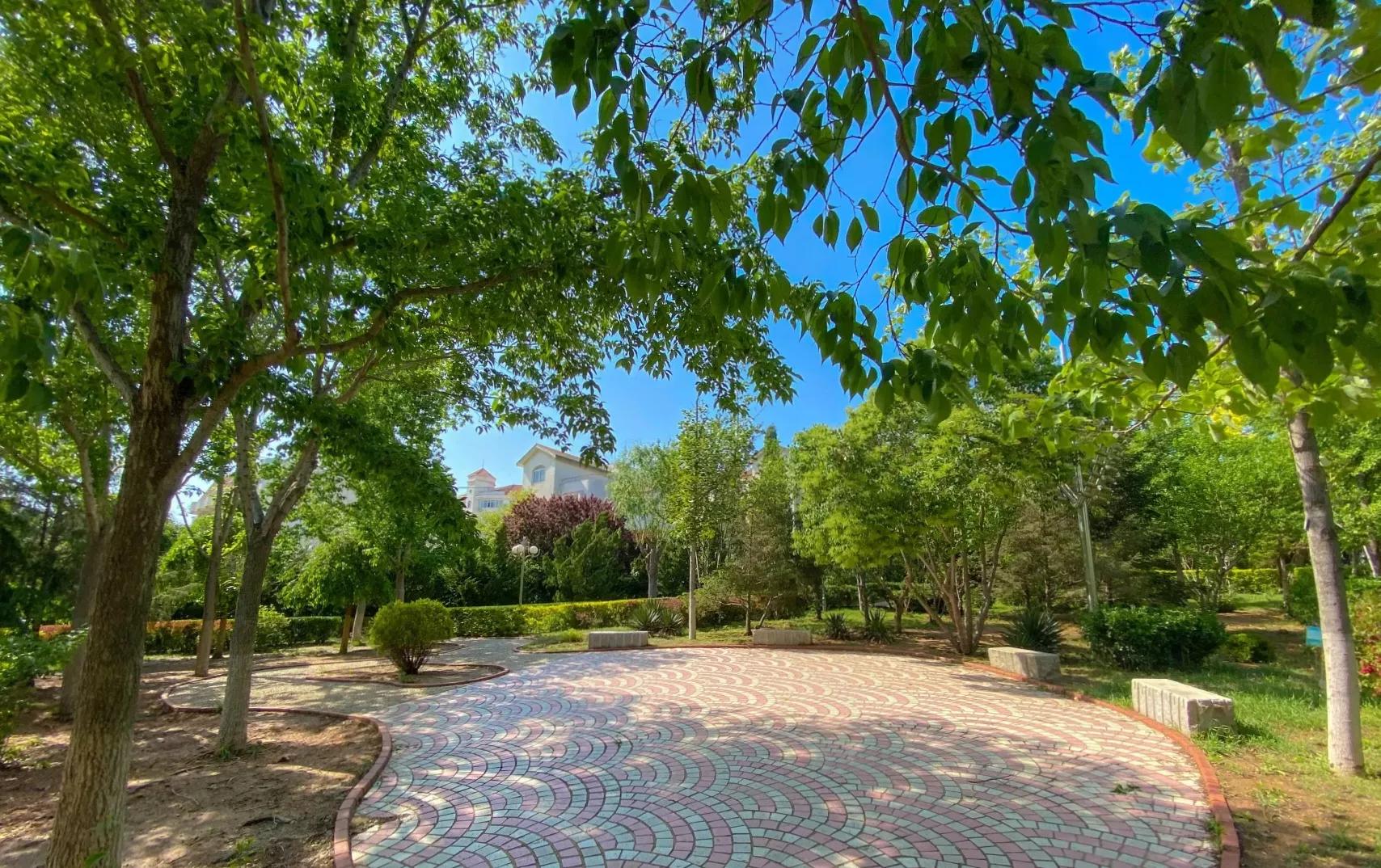 辽宁师范大学辽宁省一流课程,辽宁省普通高等院校