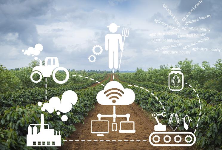 拼多多小新pro16百亿补贴可靠吗,拼多多iqoo9pro百亿补贴靠谱吗