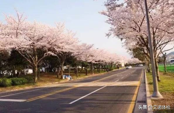 安徽旅行必去的10大景点,安徽旅行攻略必去十大景点