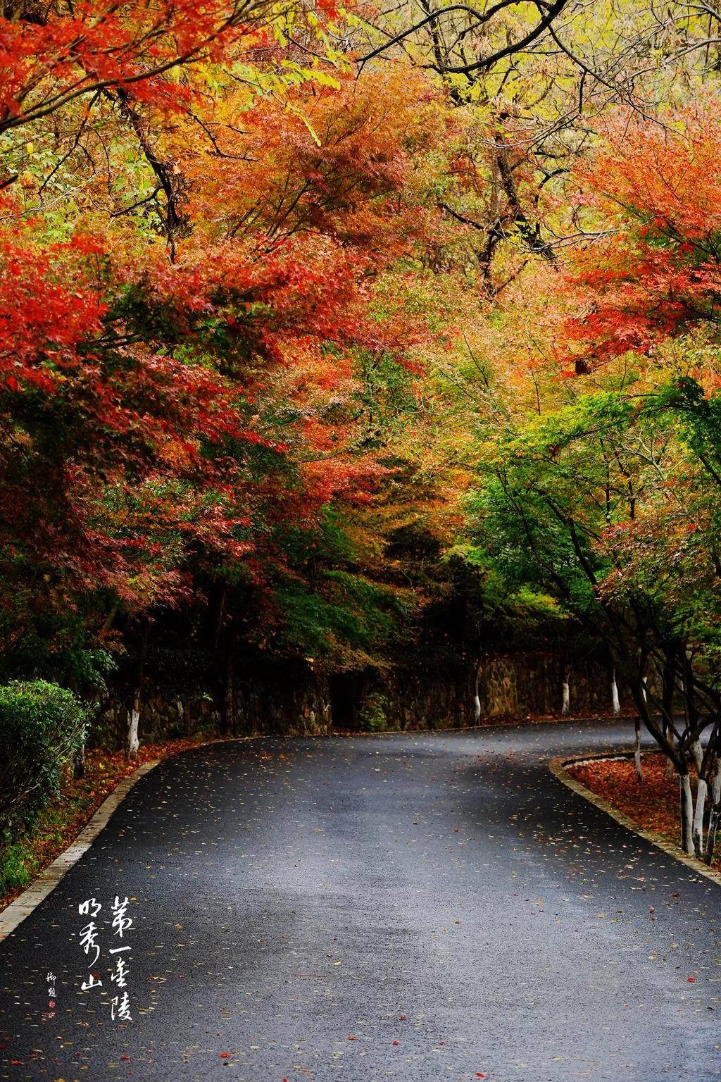 南京是属于哪个省的,南京是现在的哪个城市