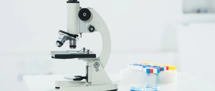 尿常规化验单各项解读,尿常规化验单重要指标解读