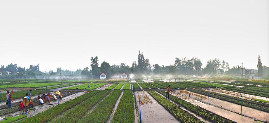 红光新城西安市,红光新城