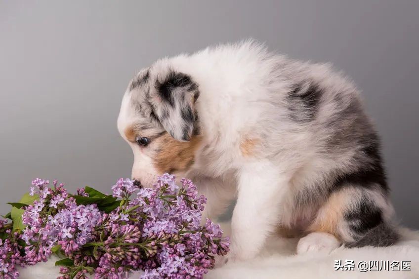 女子戴口罩长红疹,姑娘摘下口罩