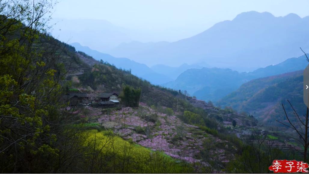 掬水月在手弄花香满衣兴来无远近,掬水月在手弄花香满衣书法作品