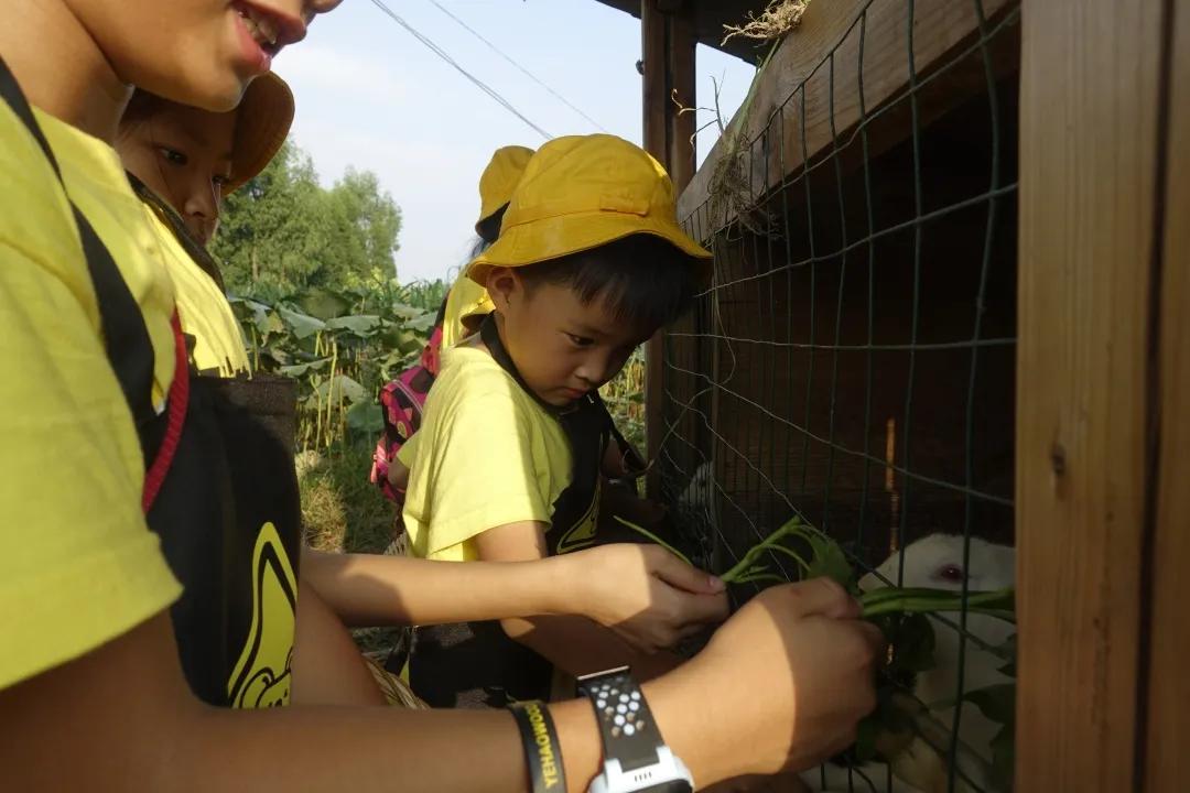 厦门夏令营走进大自然活动,厦门广电研学夏令营