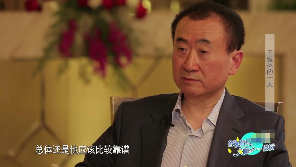 王健林王思聪几个亿,王健林和王思聪的近况