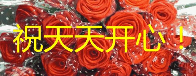 适合老人的音乐相册,适合90岁老人的音乐相册