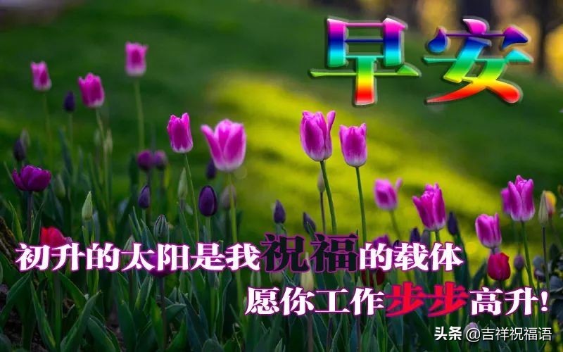 早晨问候语早上好微信短语,清晨最新早上好问候祝福语句