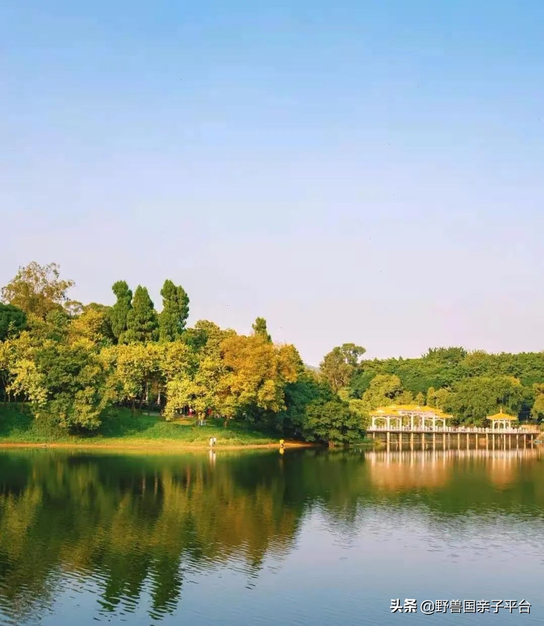 广州遛娃出游,广州遛娃3-4天攻略