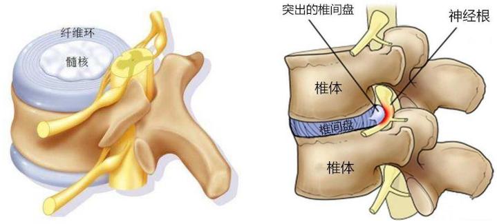 上海长征医院史国栋教授,上海长征医院史国栋简历