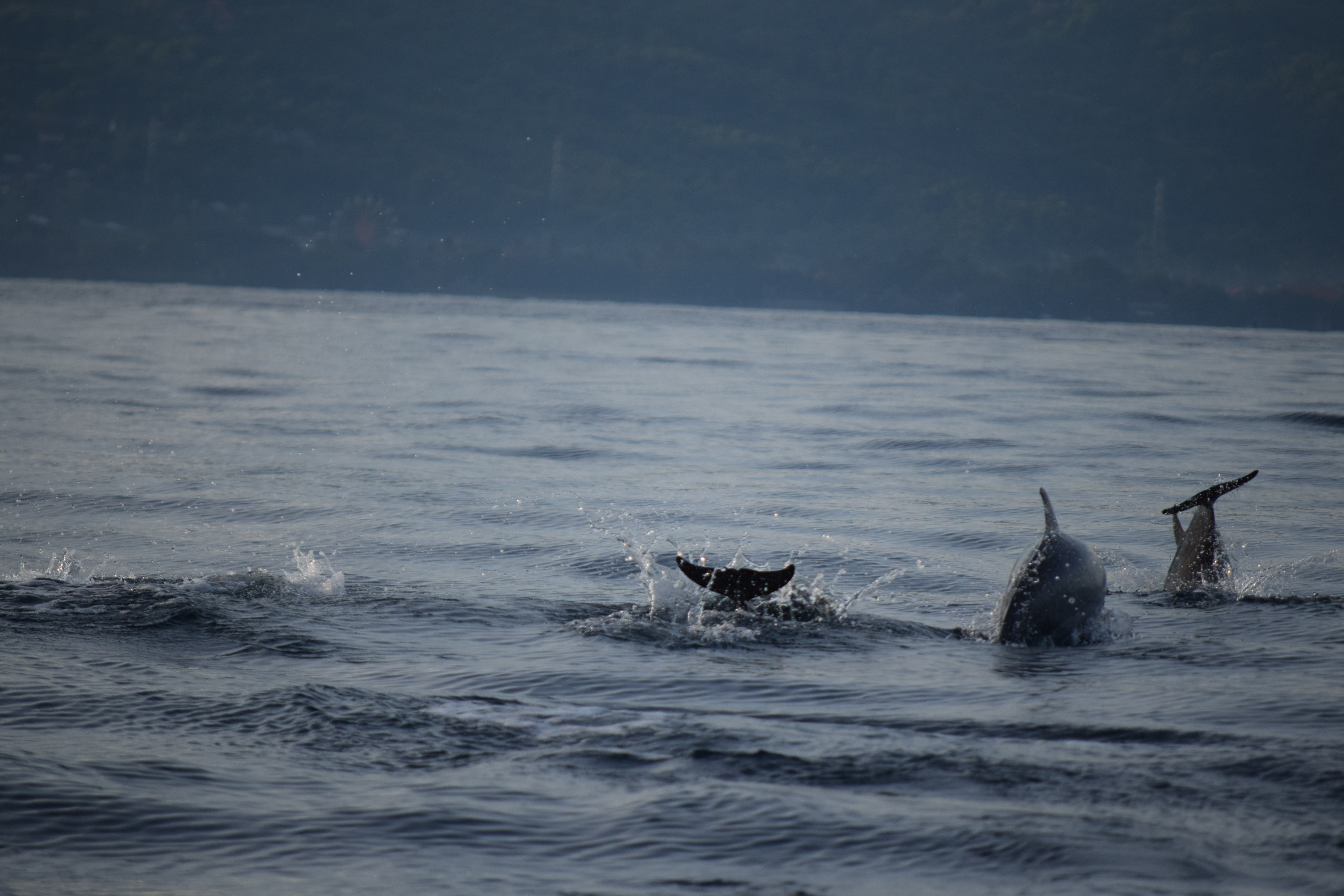 玩转巴厘岛攻略大全,巴厘岛值得去和不值得去