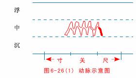 把脉七字口诀完整版,把脉入门口诀视频