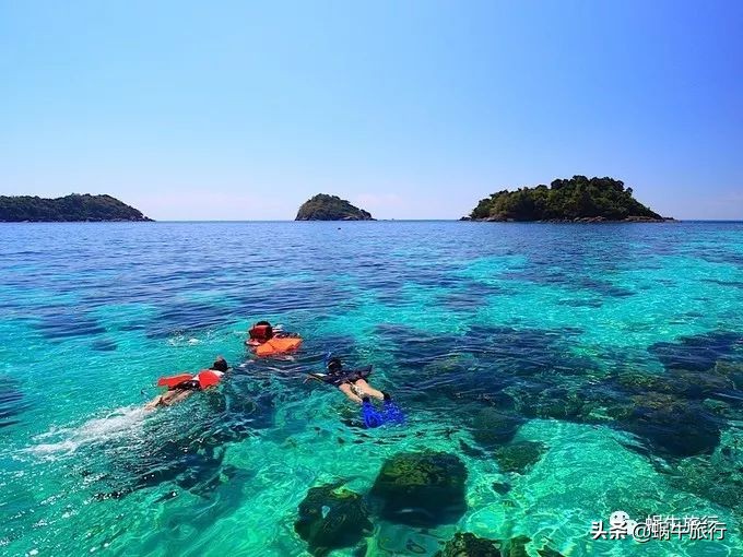 巨蜥像退休大爷休闲漫步；满海的活珊瑚、海葵…国家公园开岛啦