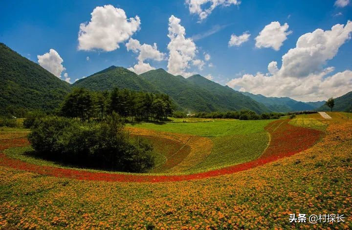 重庆自驾游免费露营地,冬季露营旅游重庆