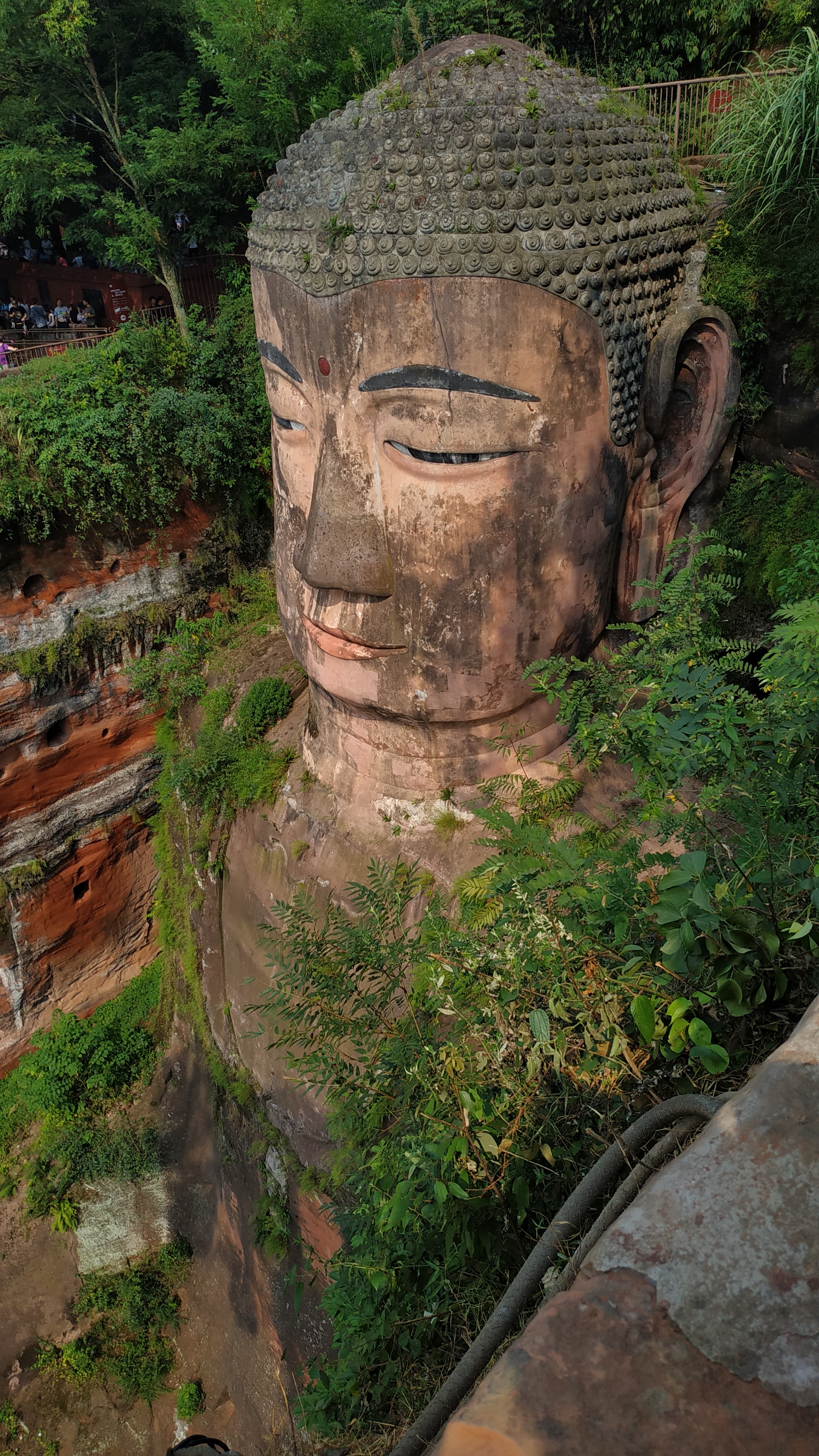 成都去峨眉山乐山大佛旅游攻略,五一峨眉山和乐山大佛穿什么