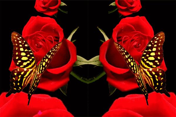 能解开人心结的话,能解开心结的一段话