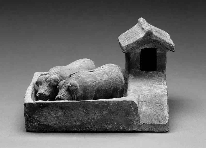 千年屎记:中国古人的如厕进化简史