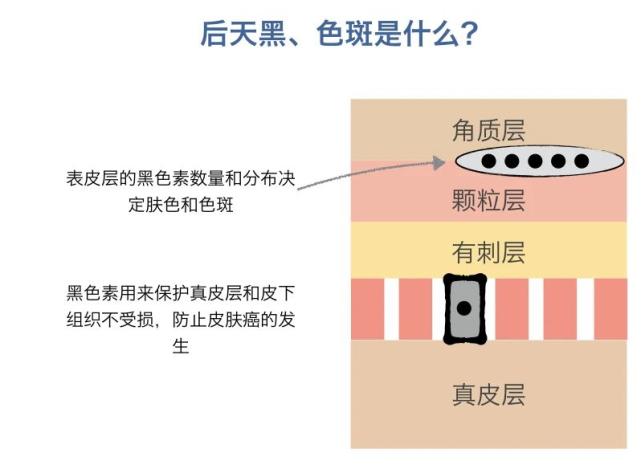 十大美白的东西,十大热门美白精华测评