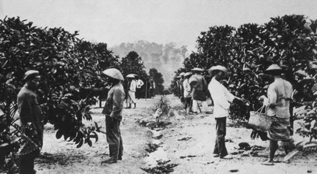 我国最年轻的省份海南，是怎么从广东脱离出来的？|中国自驾地理