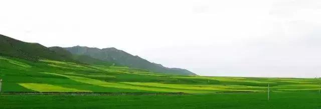 带您探索神秘大西北,一湖倒影一湖诗,半湖金色半湖