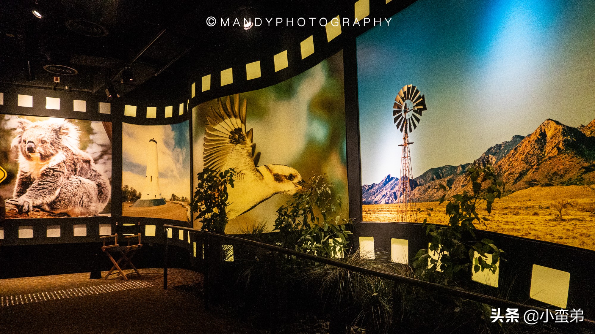 香港巡礼|是谁！敢拿水枪给20岁的海贼王庆生？