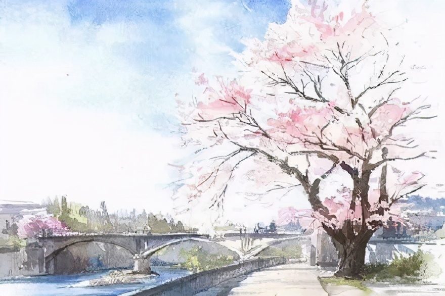美丽的水彩樱花,水彩樱花风景画乡村田园