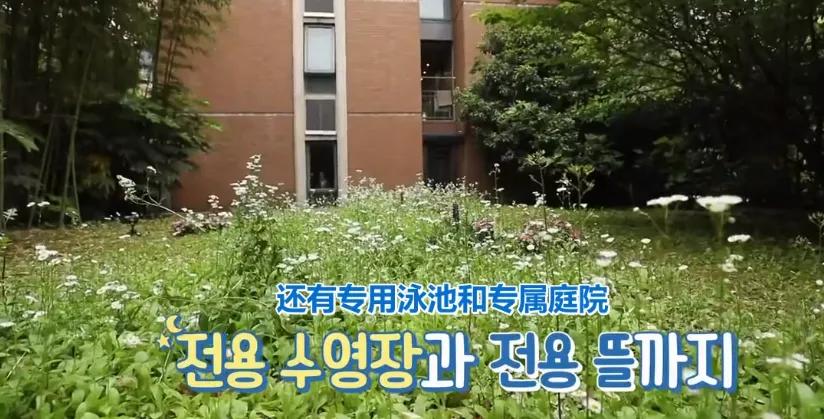 这么有钱还*爱做**豆！00后偶像家境被扒，成年礼是百亿公司的股份