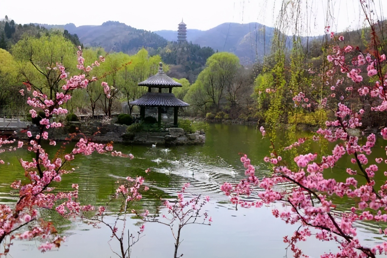 济南3月免费赏花攻略,花都开了济南周边赏花攻略收好