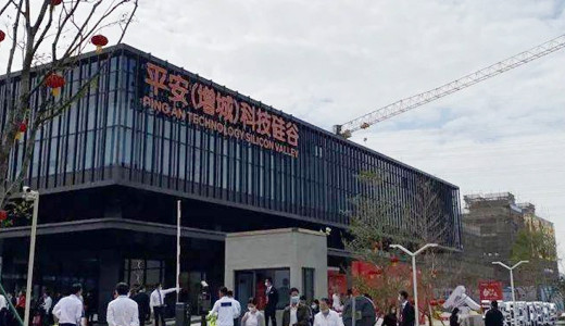 广州市增城区支柱产业，从“后花园”到东拓“桥头堡”