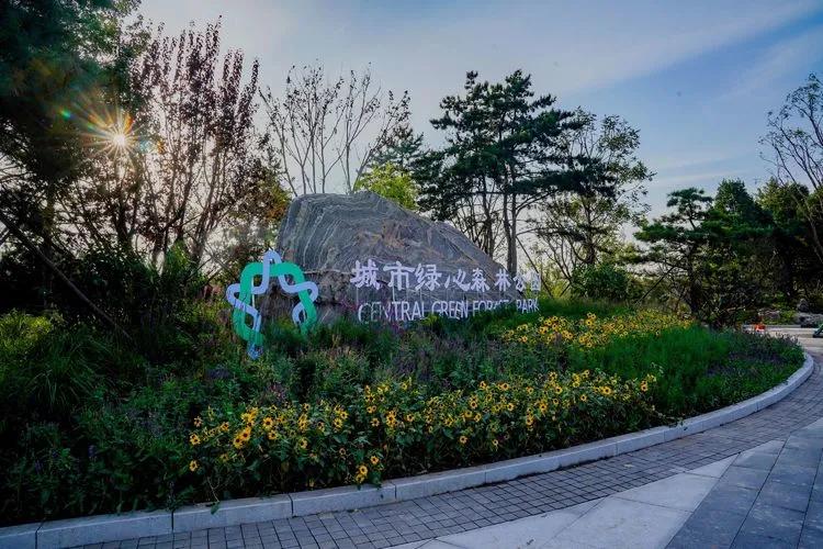 儿童乐园绿心公园,绿心公园儿童游乐区最新视频