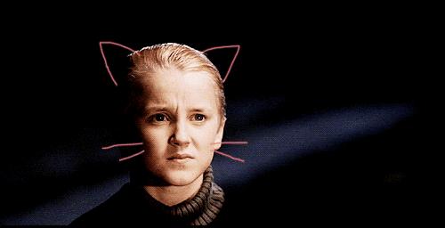 哈利波特德拉科纪念日,哈利波特德拉科的成长