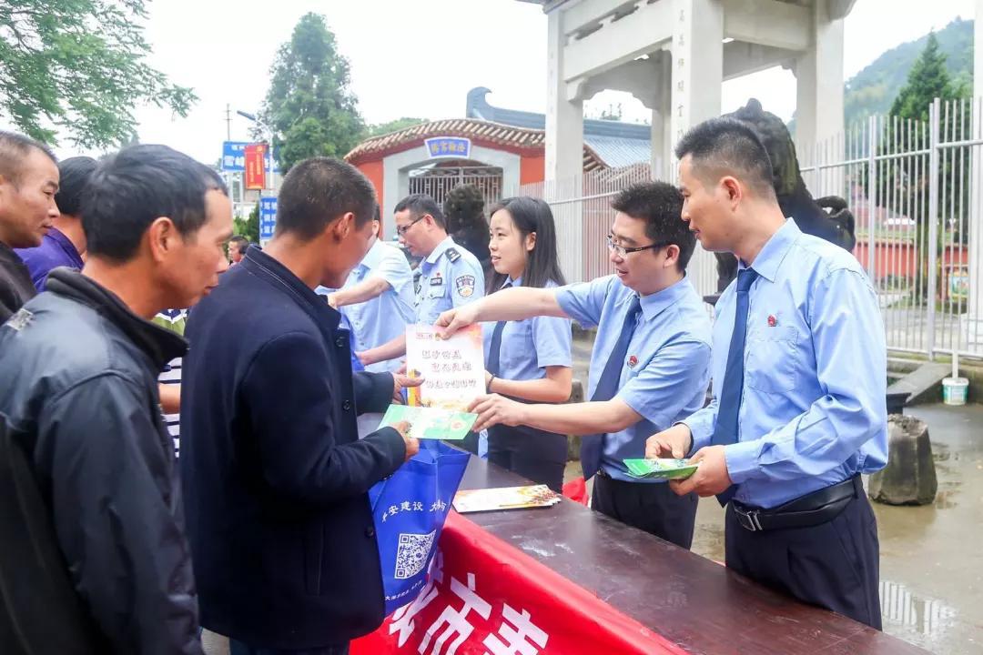 一棵红豆杉图片,一棵红豆杉